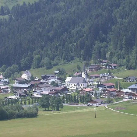 Hauser 3*
